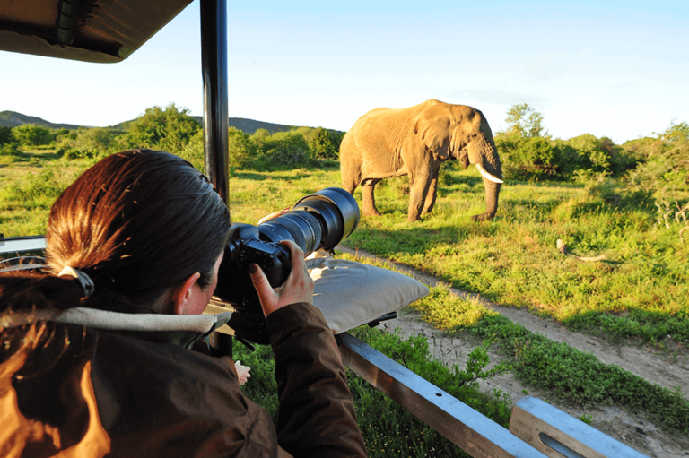 12-Day Wildlife Photography Safari